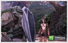 无尽之剑命运常见问题解答