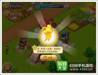 千岛物语金猪玩法全面解析