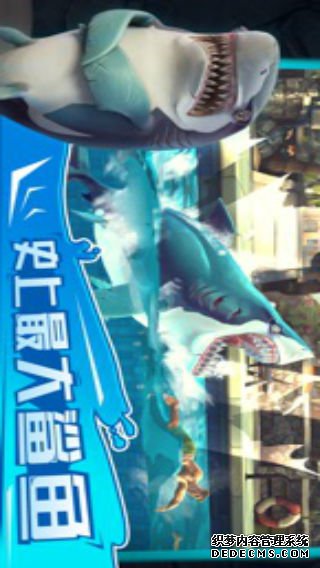 饥饿鲨世界iPad版