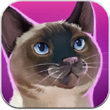 猫咪旅馆iPad版