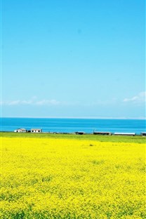 <b>春天田野风景壁纸</b>