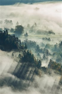 清晨大雾风景壁纸