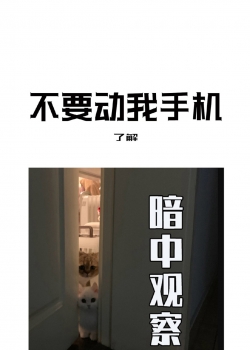 <b>搞笑文字创意壁纸</b>