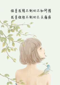 <b>精选创意壁纸</b>