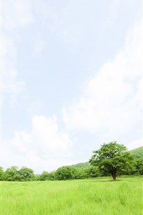 草原风景壁纸