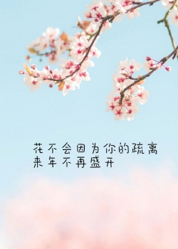 清新唯美创意壁纸