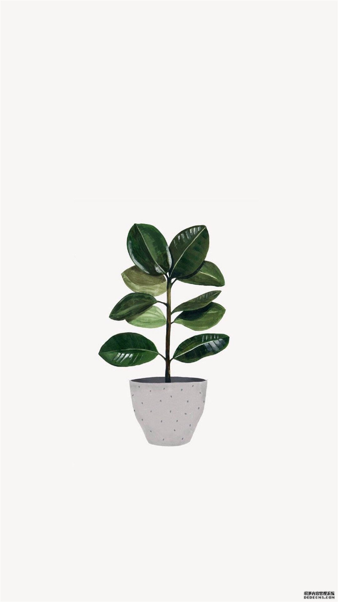 小清新手绘植物插画高清手机壁纸