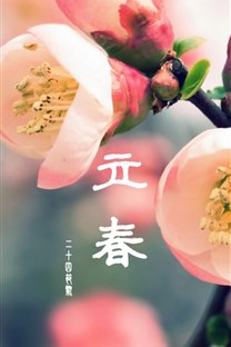 <b>立春节日壁纸</b>