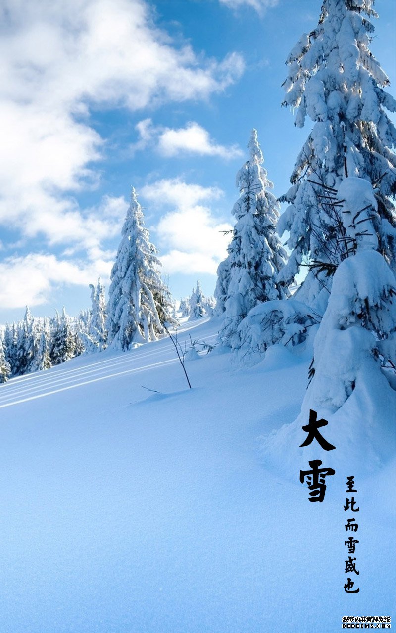 二十四节气大雪唯美景色图片手机壁纸