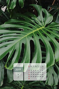 2019年6月日历图片壁纸