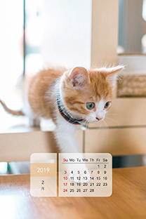 2019年2月日历高清壁纸