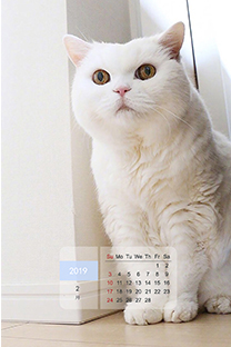 2019年2月桌面日历壁纸