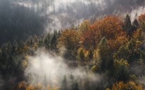 云雾缭绕自然景