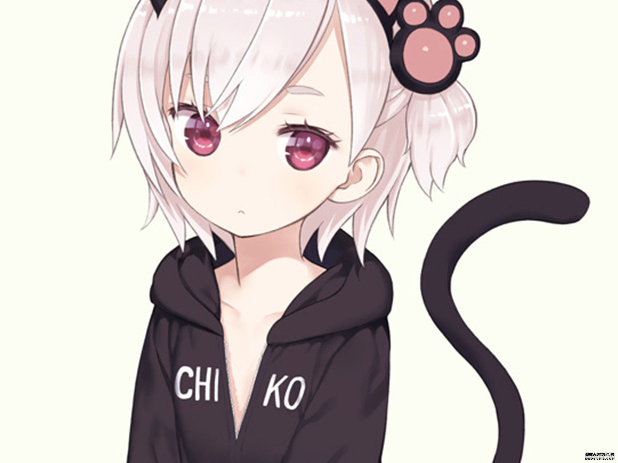 二次元精美大胸动漫美少女插画图片平板壁纸