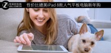 性价比媲美iPad 8款人气平板电脑新年购