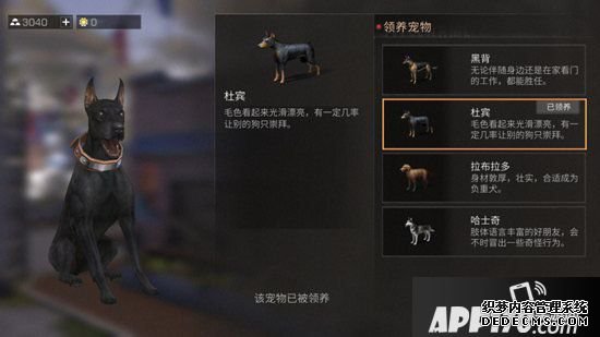 嫡之后宠物性格养成攻略 宠物性格哪个好