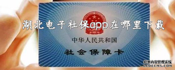 湖北电子社保app在那边下载