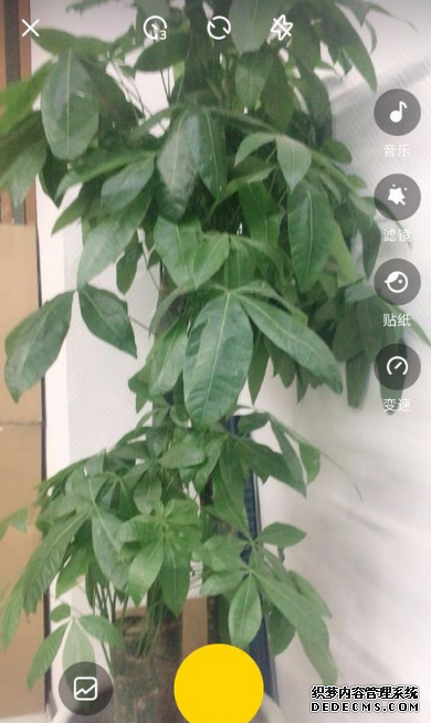 nani小视频怎么上传视频