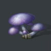 手游明日之后顶层菇获得方式 顶层菇怎么获得