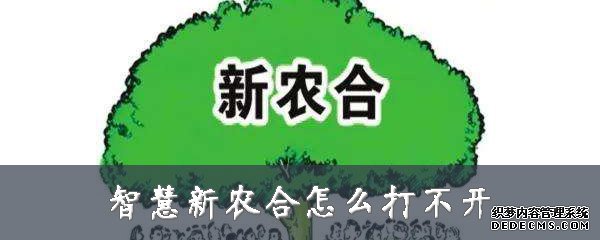 伶俐新农合怎么打不开