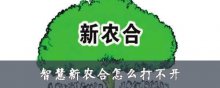 智慧新农合怎么打不开