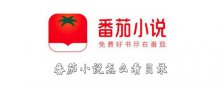 番茄小说怎么看目录
