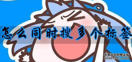 p站助手怎么同时搜多个标签