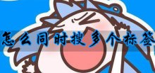 p站助手怎么同时搜多个标签