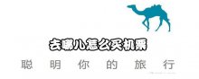 去哪儿怎么买机票