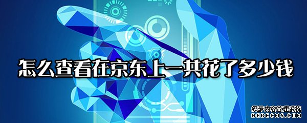 怎么查察在京东上一共花了几多钱
