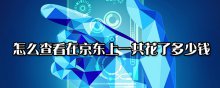 怎么查看在京东上一共花了多少钱