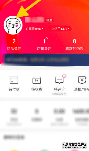 怎么查察在京东上一共花了几多钱
