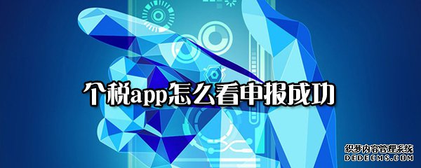 个税app怎么看申报乐成