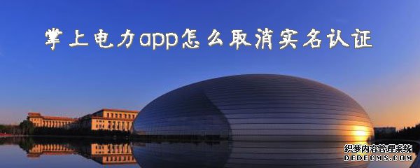 掌上电力app怎么打消实名认证