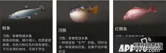 嫡之后新币快速获取要领 新币怎么得到