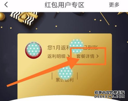 翼付出怎么查询套餐