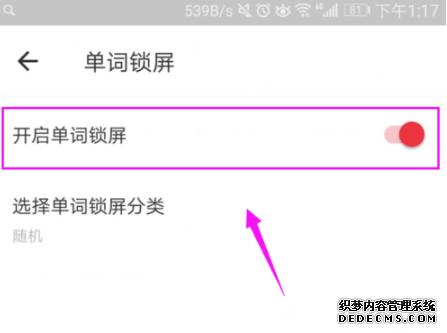 有道辞书怎么配置锁屏