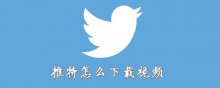 推特怎么下载视频