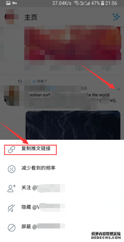 推特怎么下载视频