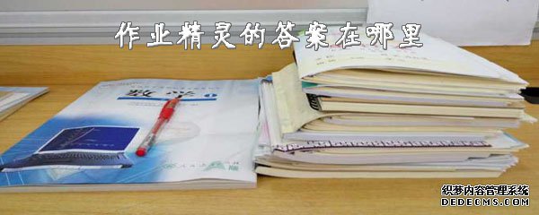 功课精灵的谜底在那边
