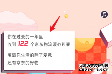 2019年京东年度账单怎么查察
