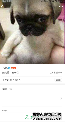 会玩app怎么玩