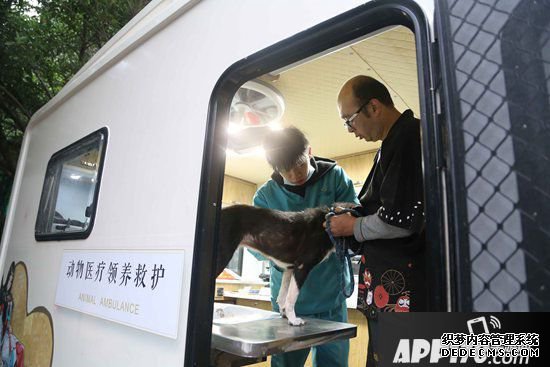 阴阳师公益救助车试运营圆满完成 治愈TA的世界