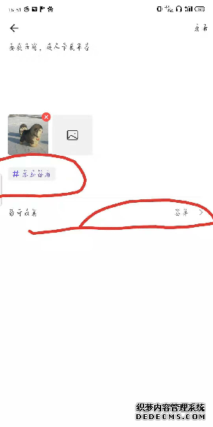 红蓝cp怎么发本身的动态