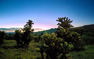 realme真我X50 Pro极暗夜景样张对比 网友：夜视仪