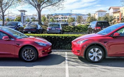 特斯拉Model Y对比Model 3实拍 前者明显大了一号