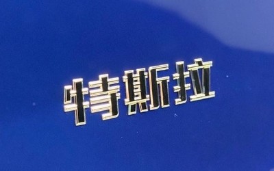 特斯拉上海工厂2月产量3898辆 产量占比份额超3成