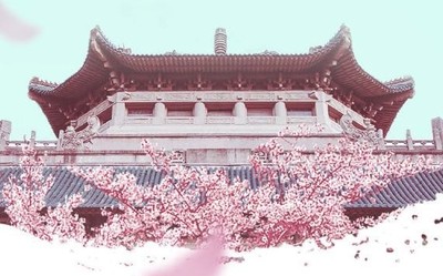 小米电视小米视频APP可以“云赏樱”啦 足不出户看樱花