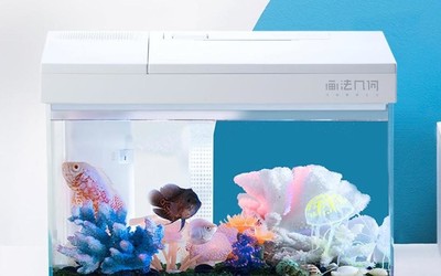 画法几何智能模块化鱼缸开卖 可自动喂食换水 售799元