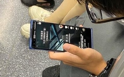 疑似荣耀30 PRO真机曝光 双挖孔曲面屏设计或4月发布
